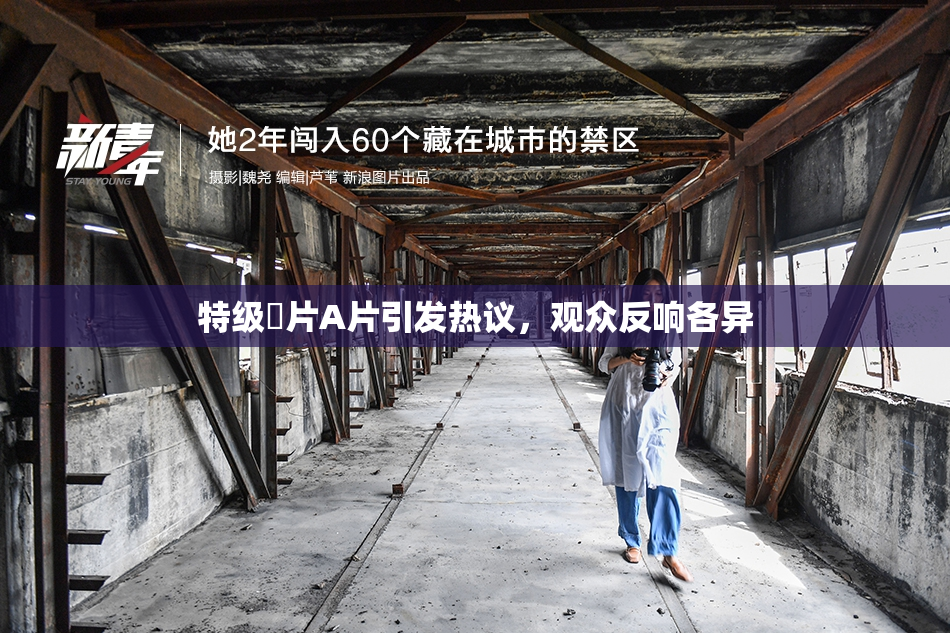 特级婬片A片引发热议，观众反响各异