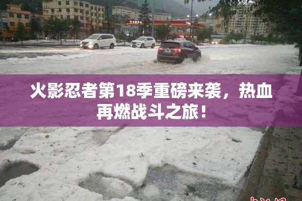 火影忍者第18季重磅来袭，热血再燃战斗之旅！