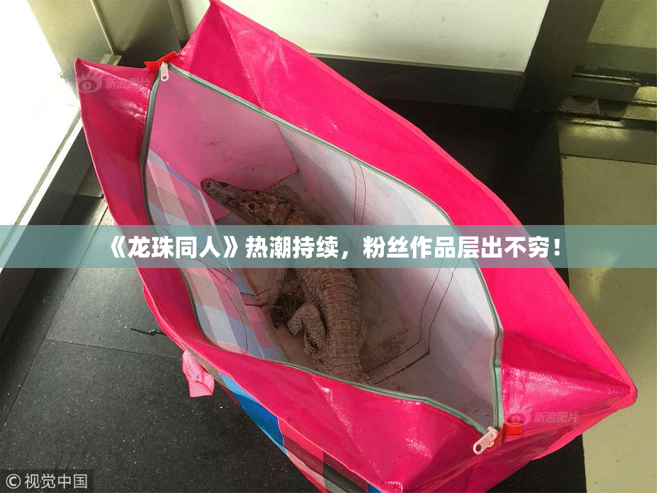 《龙珠同人》热潮持续，粉丝作品层出不穷！