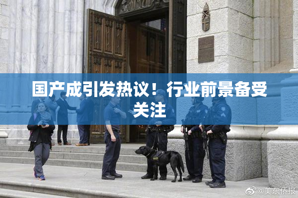 国产成引发热议！行业前景备受关注