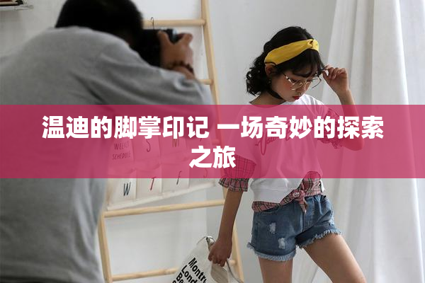 温迪的脚掌印记 一场奇妙的探索之旅