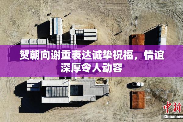 贺朝向谢重表达诚挚祝福，情谊深厚令人动容