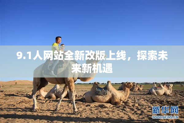 9.1人网站全新改版上线，探索未来新机遇