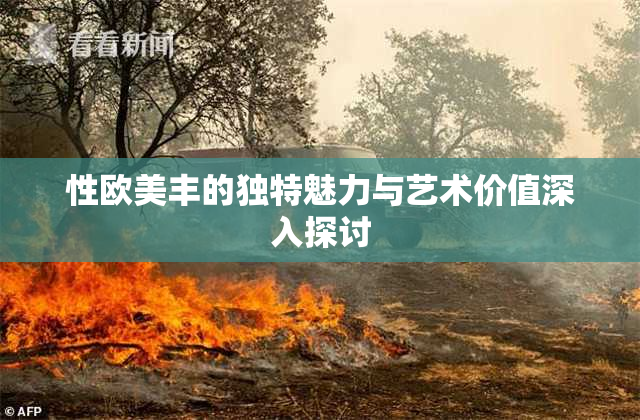 性欧美丰的独特魅力与艺术价值深入探讨