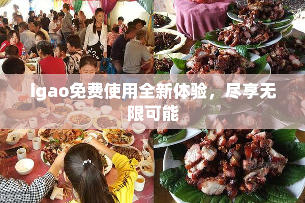 igao免费使用全新体验，尽享无限可能