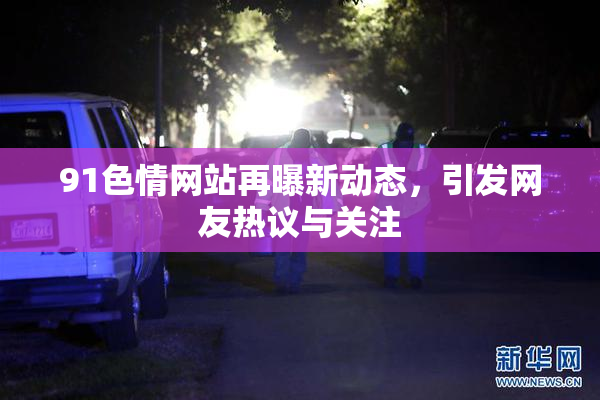 91色情网站再曝新动态，引发网友热议与关注