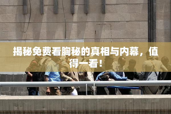 揭秘免费看胸秘的真相与内幕，值得一看！
