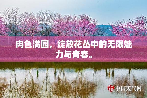 肉色满园，绽放花丛中的无限魅力与青春。