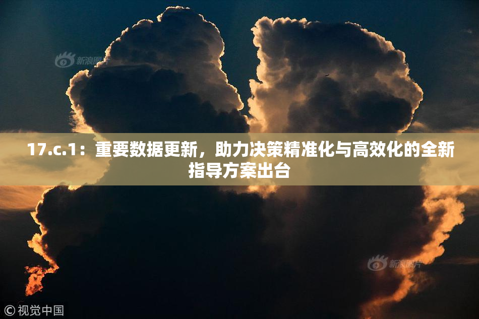 17.c.1：重要数据更新，助力决策精准化与高效化的全新指导方案出台