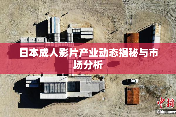 日本成人影片产业动态揭秘与市场分析