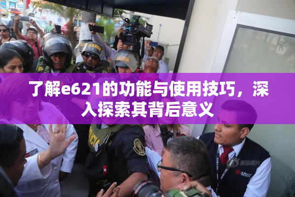 了解e621的功能与使用技巧，深入探索其背后意义