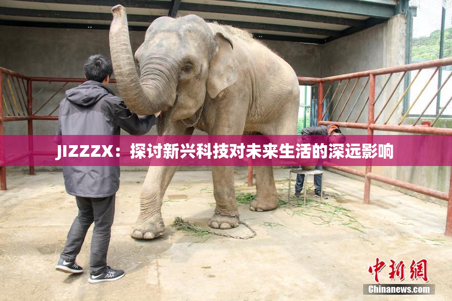 JIZZZX：探讨新兴科技对未来生活的深远影响