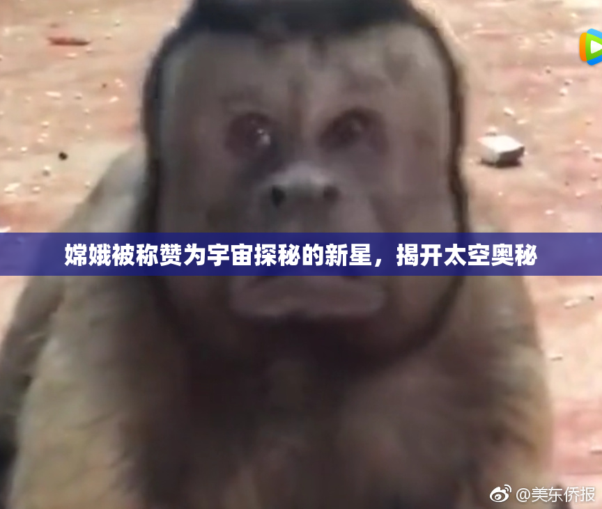 嫦娥被称赞为宇宙探秘的新星，揭开太空奥秘