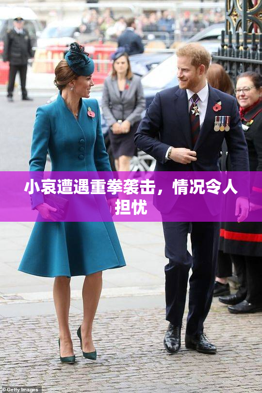 小哀遭遇重拳袭击，情况令人担忧
