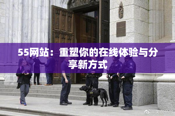 55网站：重塑你的在线体验与分享新方式