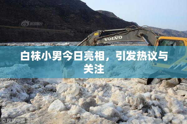 白袜小男今日亮相，引发热议与关注