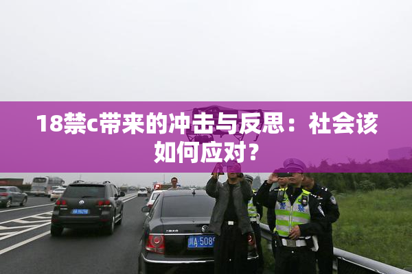 18禁c带来的冲击与反思：社会该如何应对？