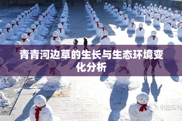 青青河边草的生长与生态环境变化分析