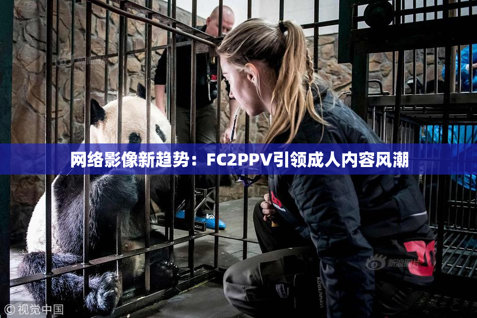 网络影像新趋势：FC2PPV引领成人内容风潮