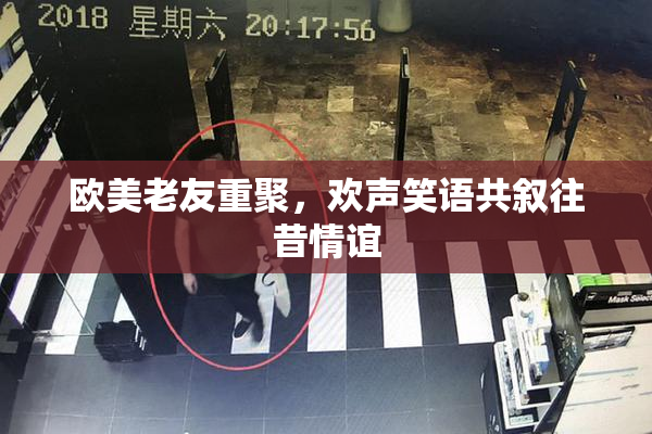欧美老友重聚，欢声笑语共叙往昔情谊
