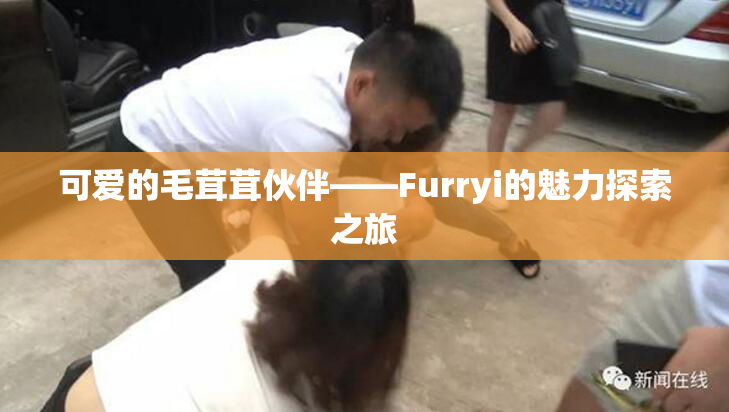 可爱的毛茸茸伙伴——Furryi的魅力探索之旅