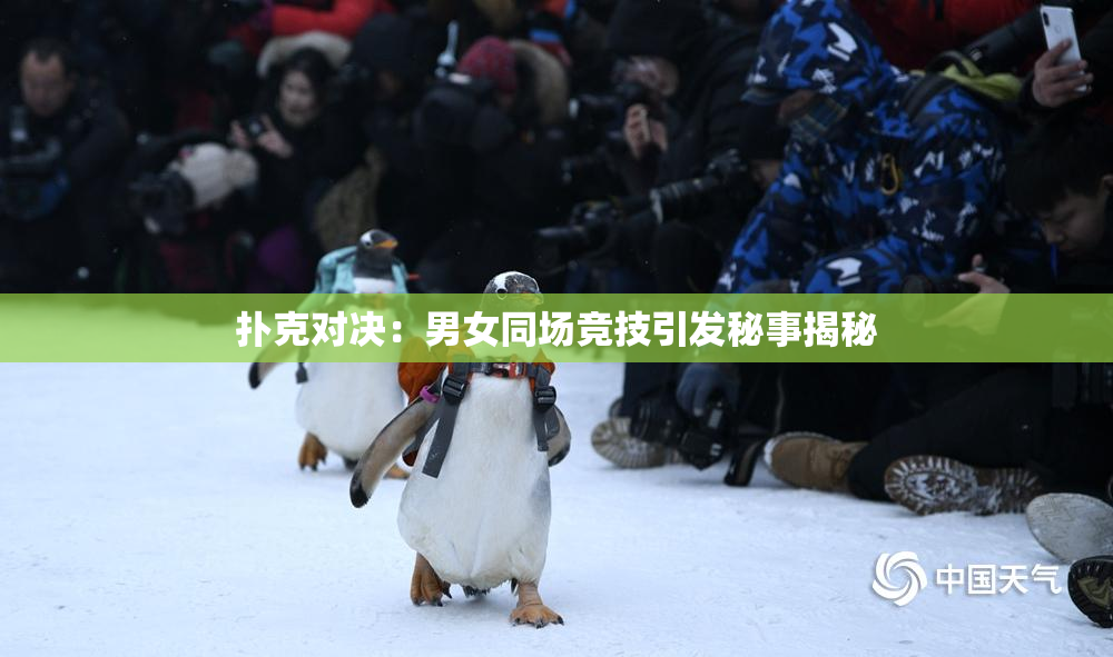 扑克对决：男女同场竞技引发秘事揭秘