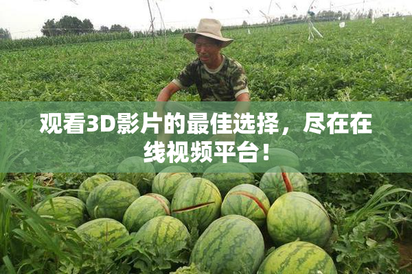 观看3D影片的最佳选择，尽在在线视频平台！