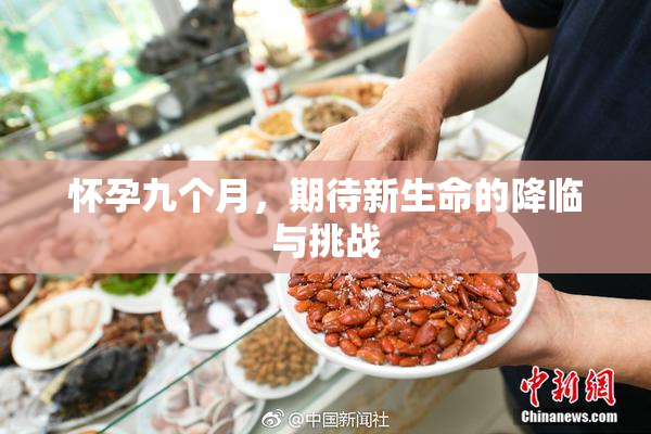 怀孕九个月，期待新生命的降临与挑战