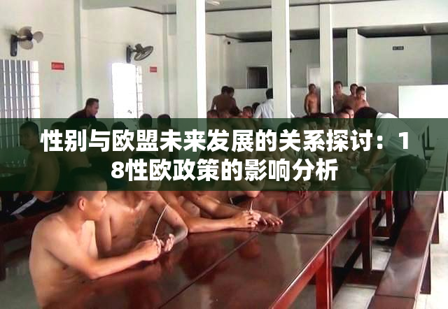 性别与欧盟未来发展的关系探讨：18性欧政策的影响分析