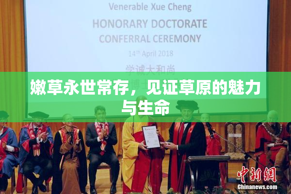 嫩草永世常存，见证草原的魅力与生命