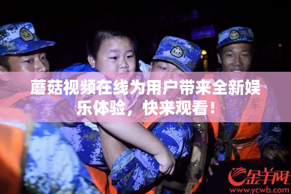 蘑菇视频在线为用户带来全新娱乐体验，快来观看！