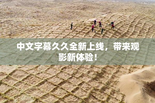 中文字幕久久全新上线，带来观影新体验！