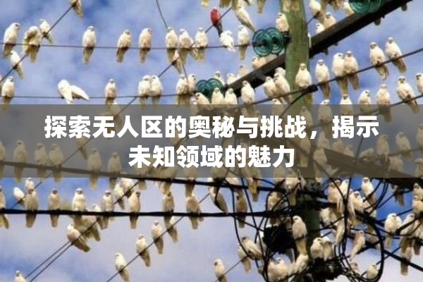 探索无人区的奥秘与挑战，揭示未知领域的魅力