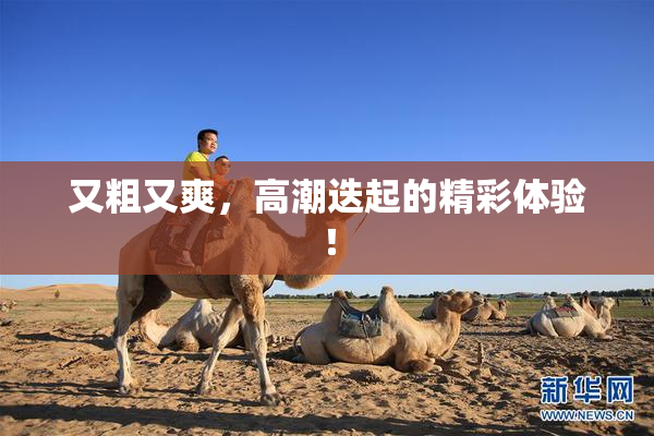 又粗又爽，高潮迭起的精彩体验！