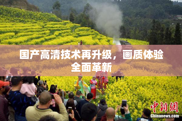 国产高清技术再升级，画质体验全面革新