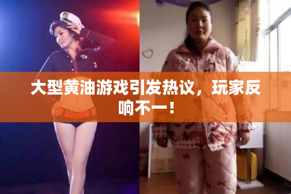 大型黄油游戏引发热议，玩家反响不一！