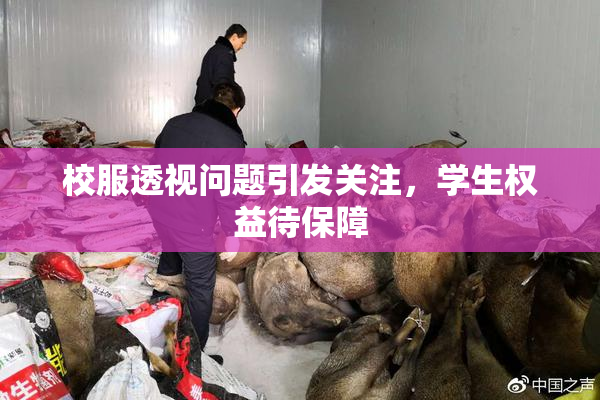 校服透视问题引发关注，学生权益待保障
