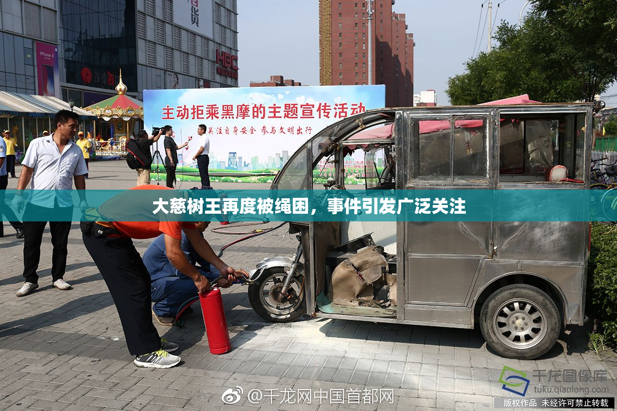 大慈树王再度被绳困，事件引发广泛关注