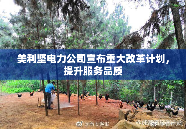 美利坚电力公司宣布重大改革计划，提升服务品质