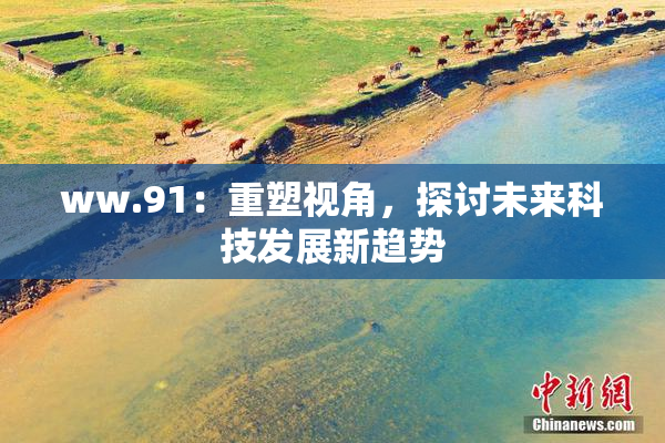 ww.91：重塑视角，探讨未来科技发展新趋势