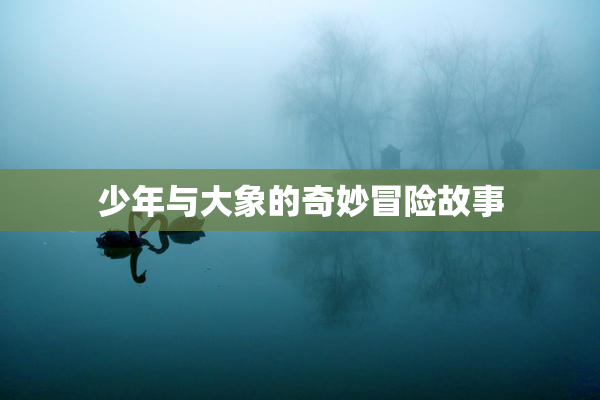 少年与大象的奇妙冒险故事
