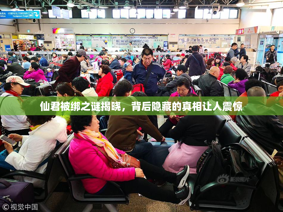 仙君被绑之谜揭晓，背后隐藏的真相让人震惊