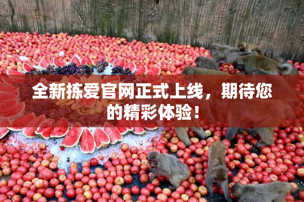 全新拣爱官网正式上线，期待您的精彩体验！