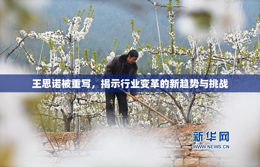 王思诺被重写，揭示行业变革的新趋势与挑战