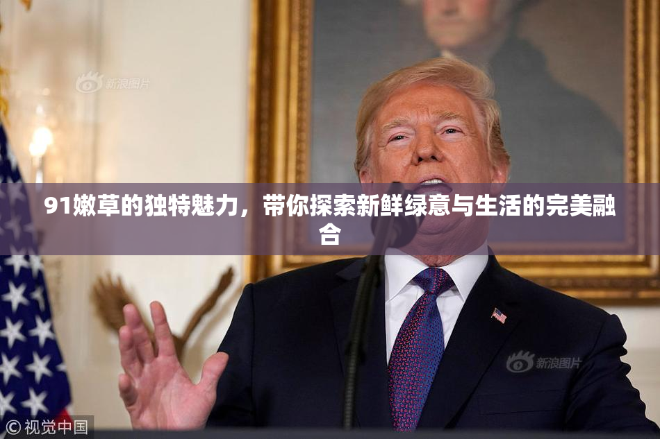 91嫩草的独特魅力，带你探索新鲜绿意与生活的完美融合