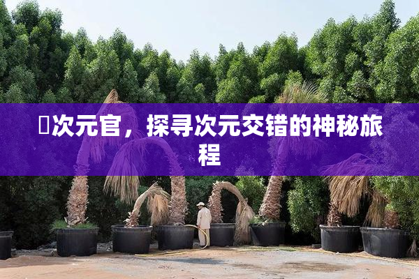 囧次元官，探寻次元交错的神秘旅程