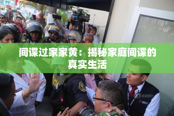 间谍过家家黄：揭秘家庭间谍的真实生活