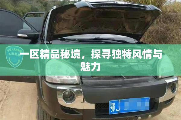 一区精品秘境，探寻独特风情与魅力