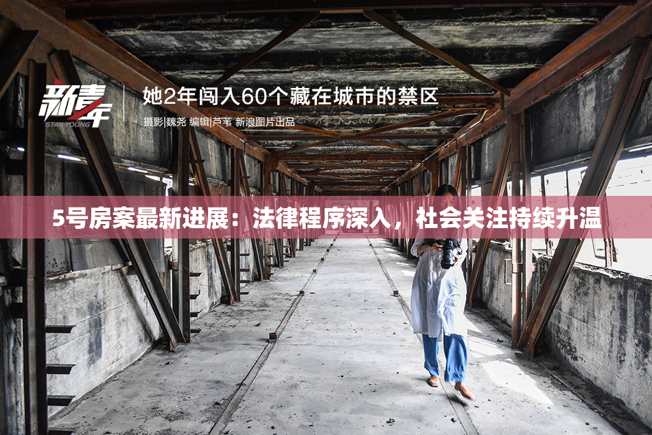 5号房案最新进展：法律程序深入，社会关注持续升温