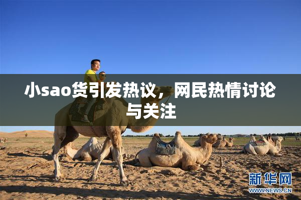 小sao货引发热议，网民热情讨论与关注